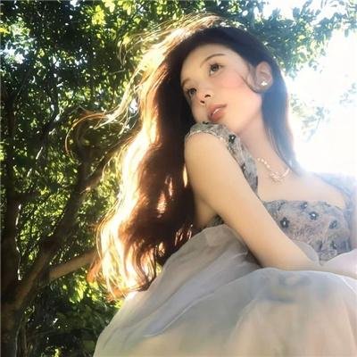 谍网纵横